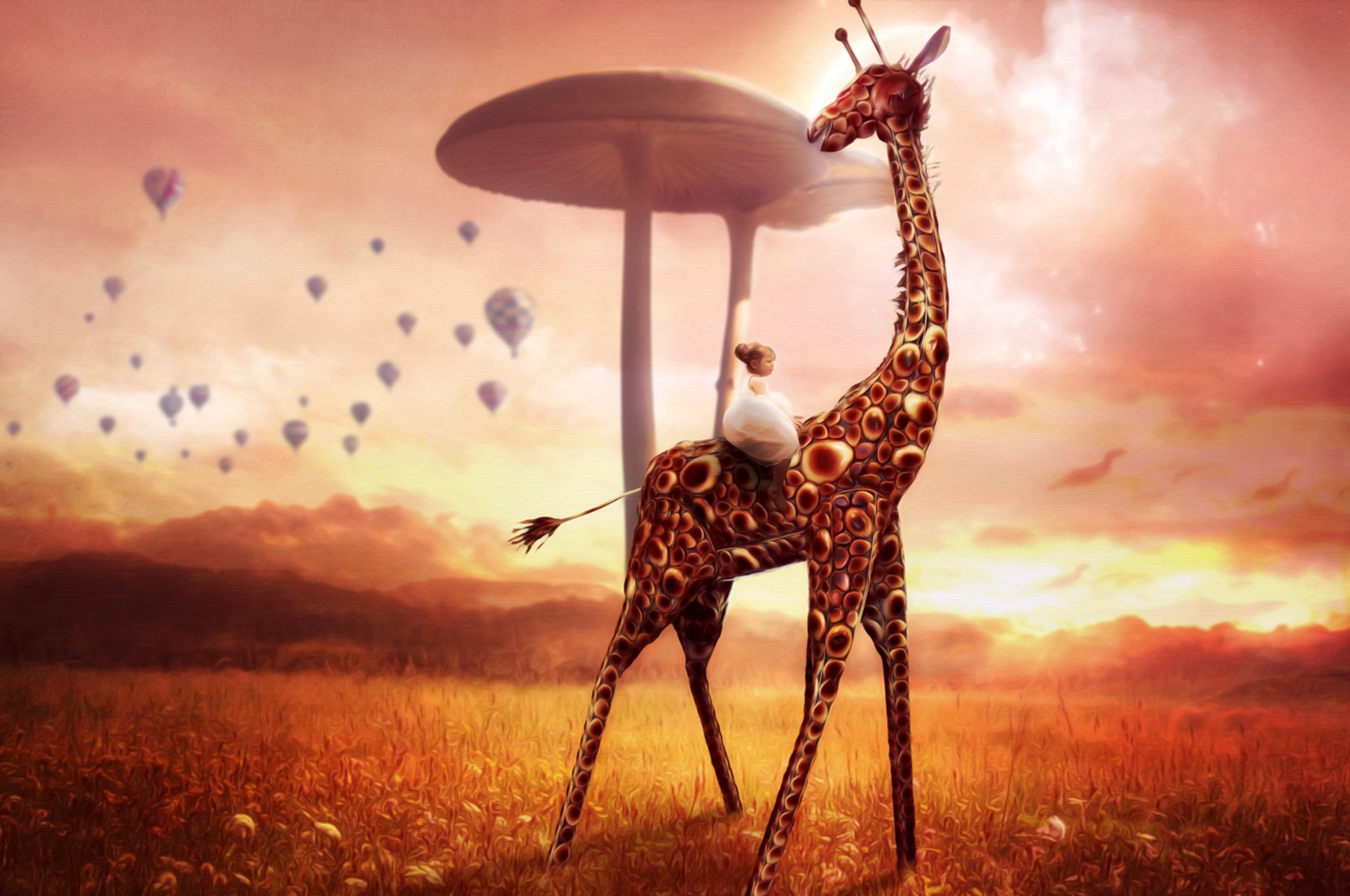 Cool Giraffe Wallpapers