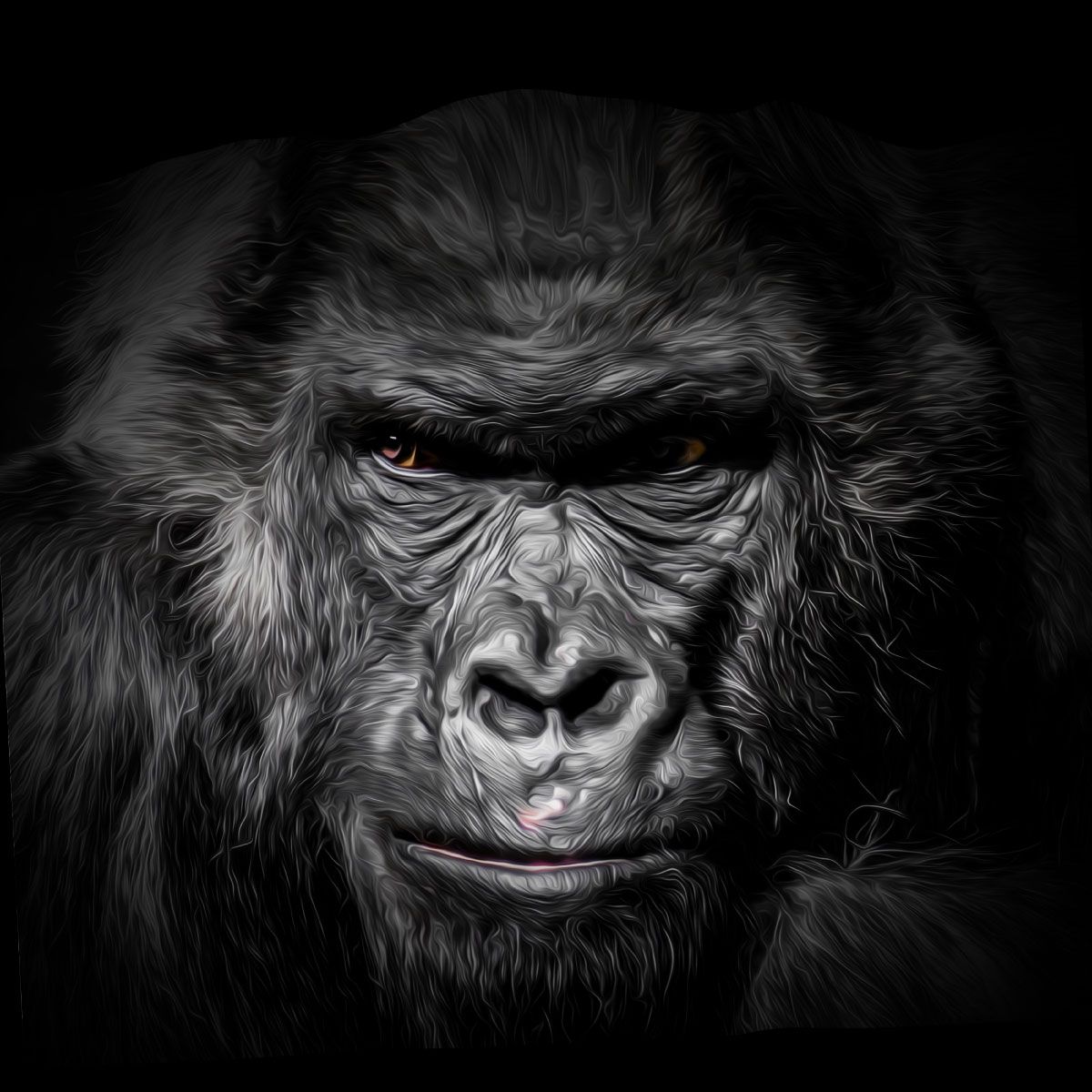 Cool Gorilla Wallpapers