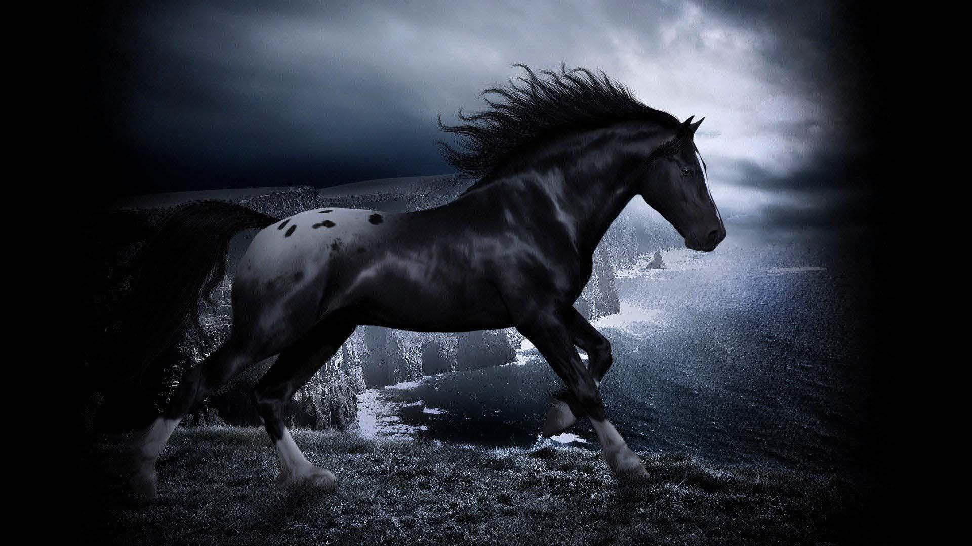 Cool Horse Desktop Wallpapers