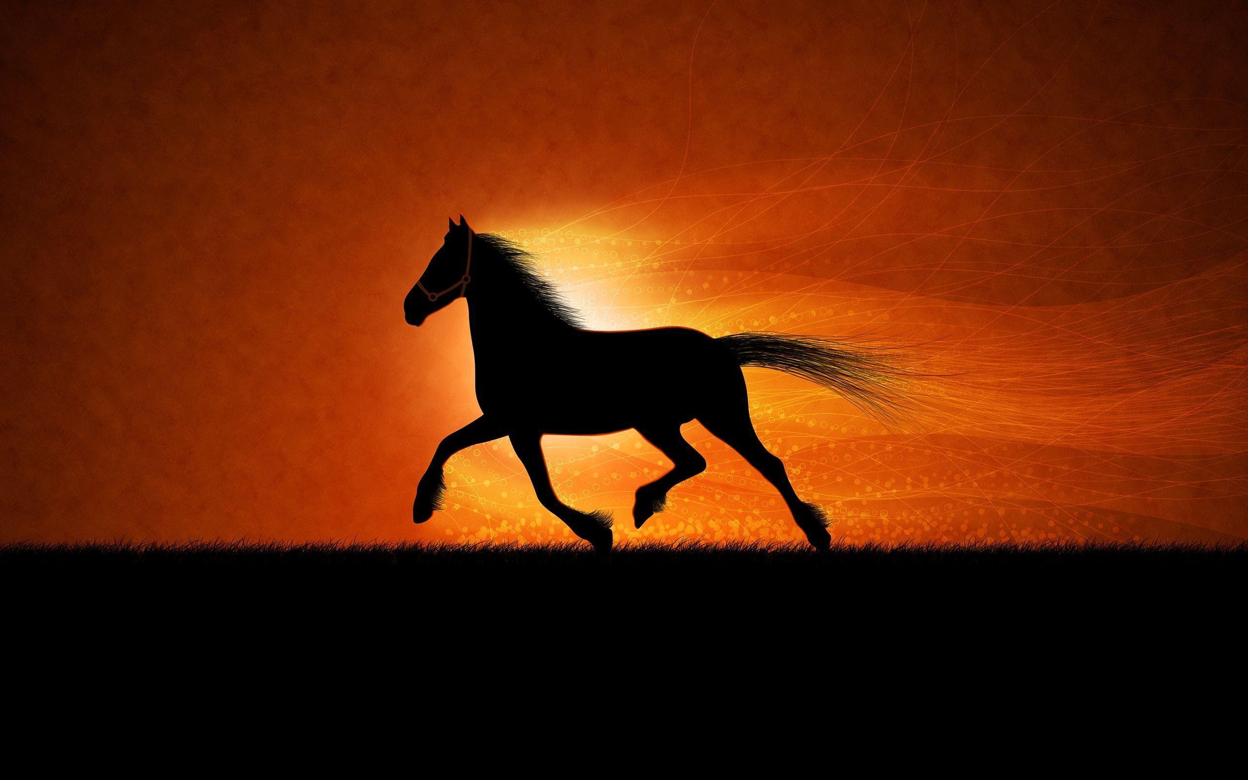 Cool Horse Desktop Wallpapers