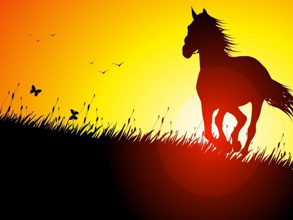 Cool Horse Desktop Wallpapers