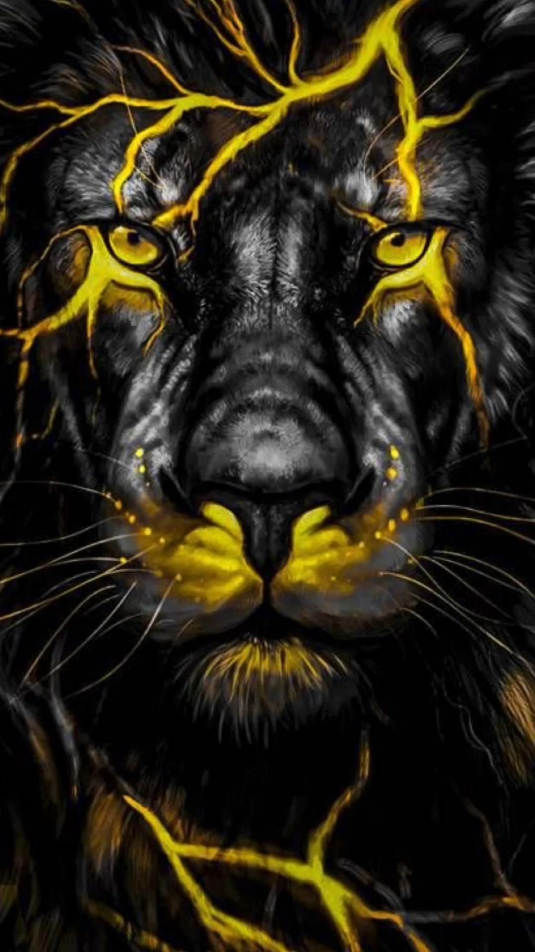 Cool Lion Wallpapers