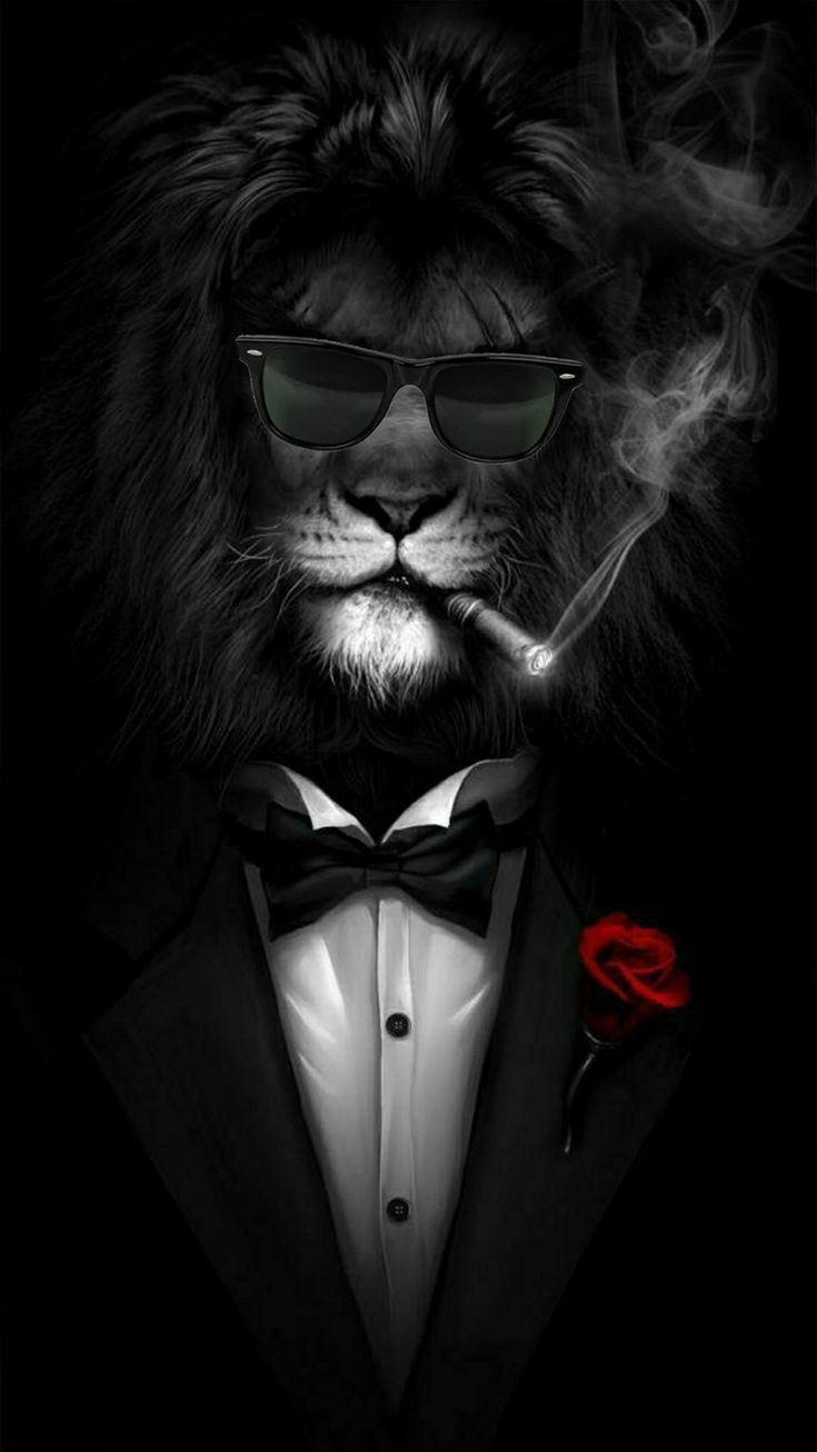 Cool Lion Wallpapers