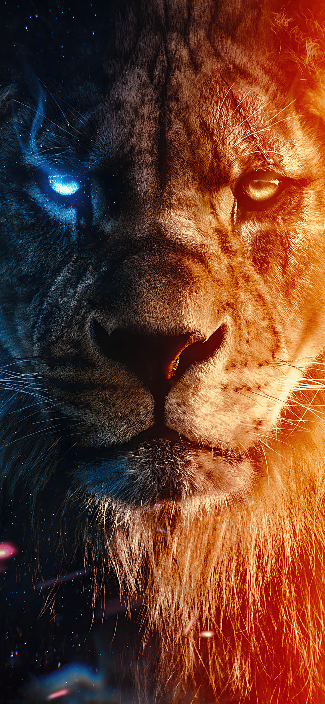 Cool Lion Wallpapers