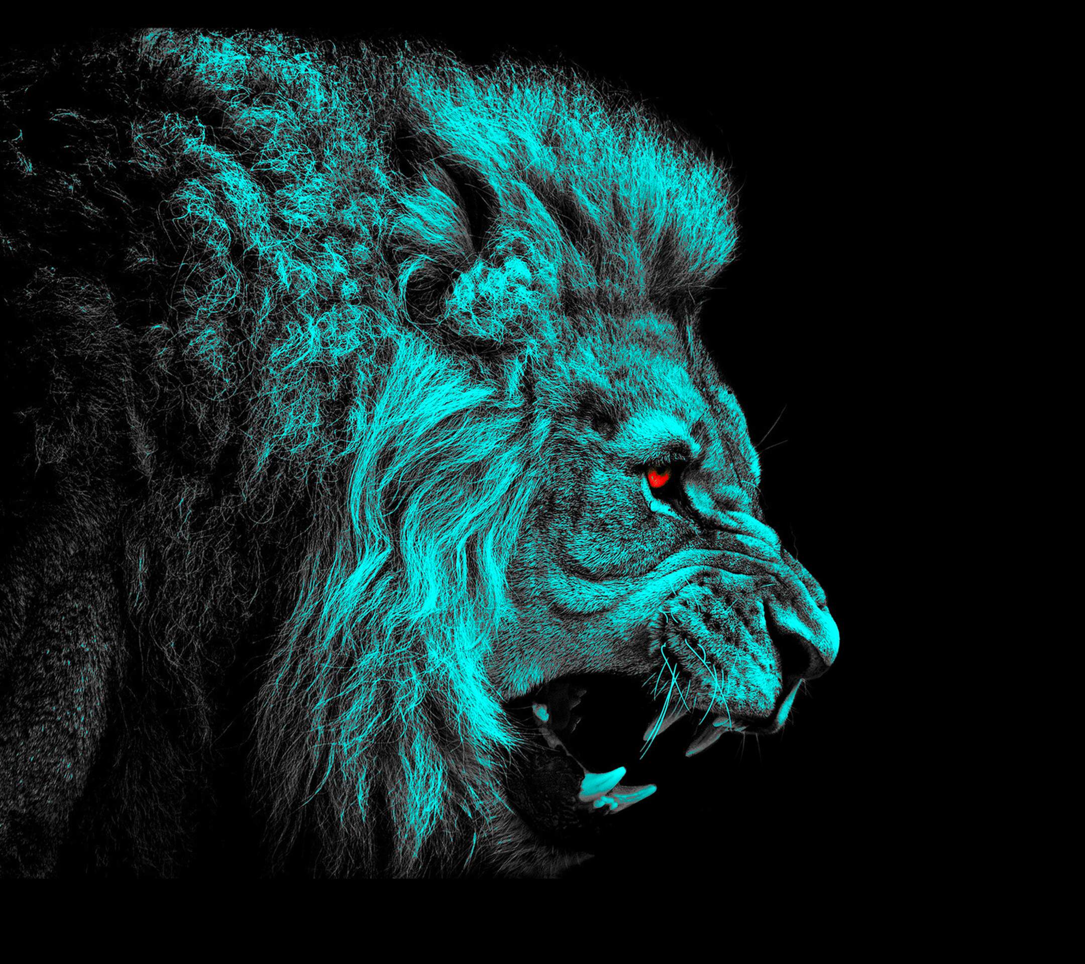 Cool Lion Wallpapers