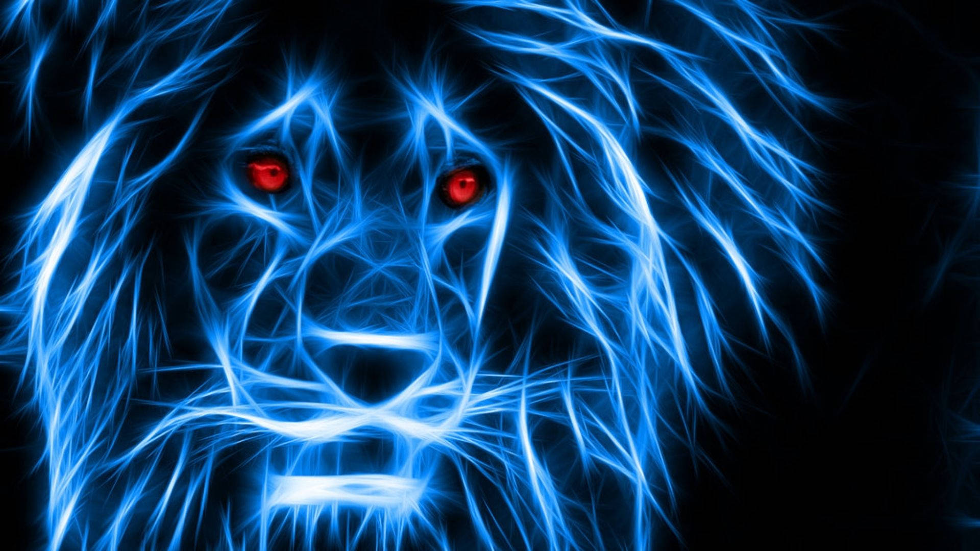 Cool Lion Wallpapers