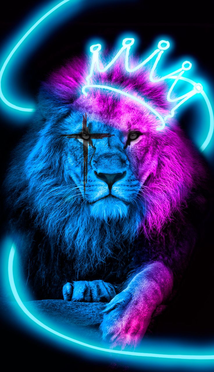 Cool Lion Wallpapers