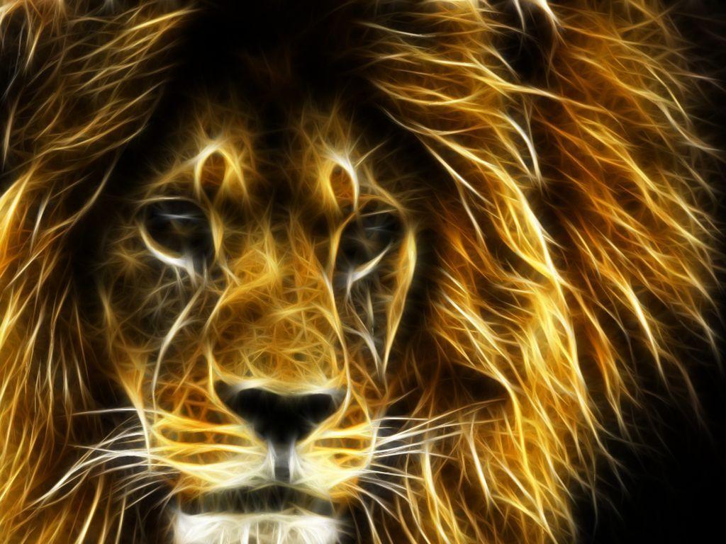 Cool Lion Wallpapers