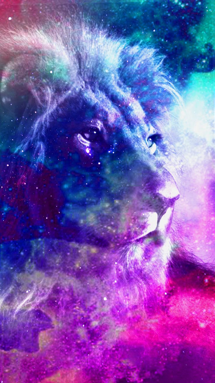 Cool Lion Galaxy Wallpapers