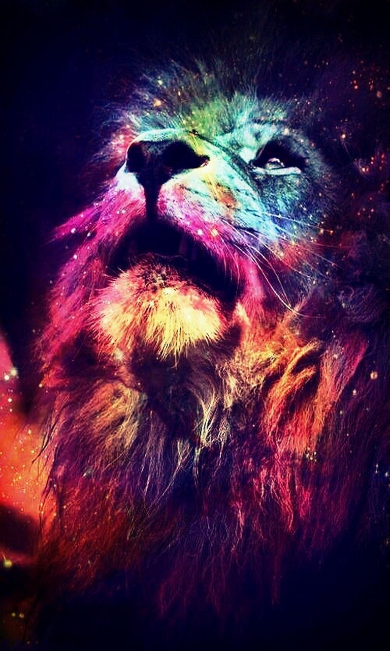 Cool Lion Galaxy Wallpapers