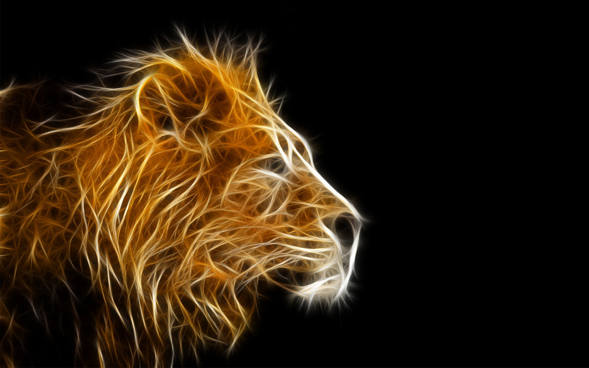 Cool LionWallpapers