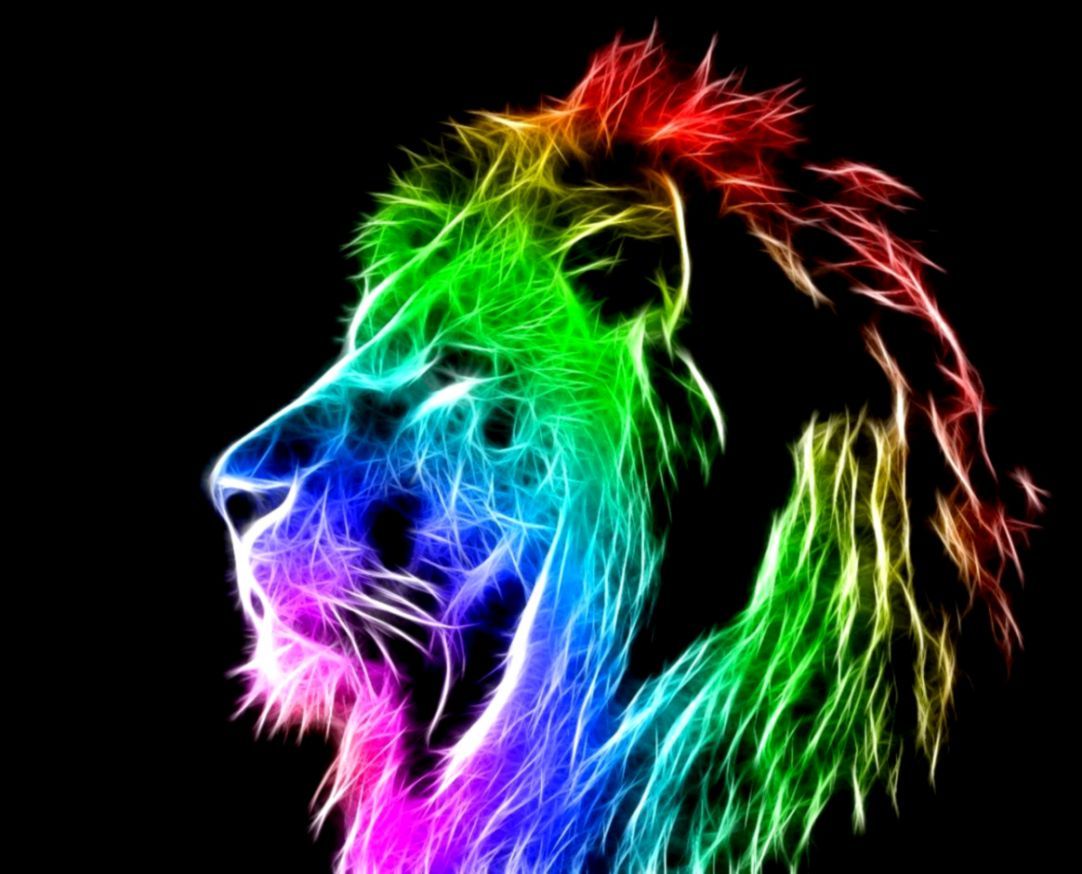 Cool LionWallpapers