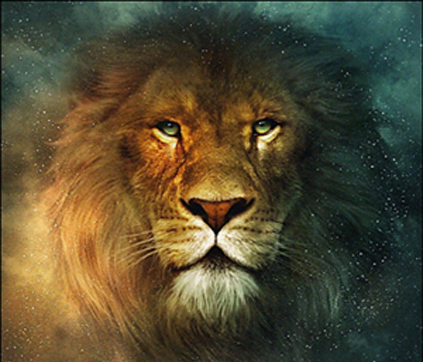 Cool LionsWallpapers