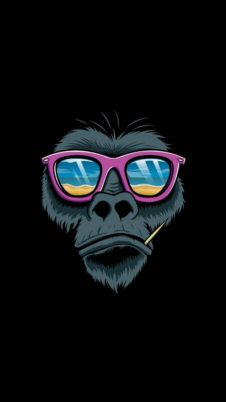 Cool Monkey Wallpapers