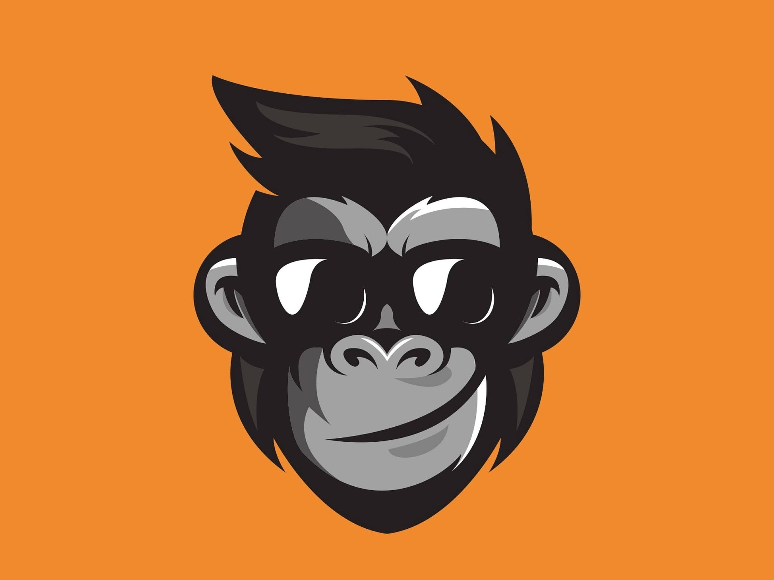 Cool Monkey Wallpapers