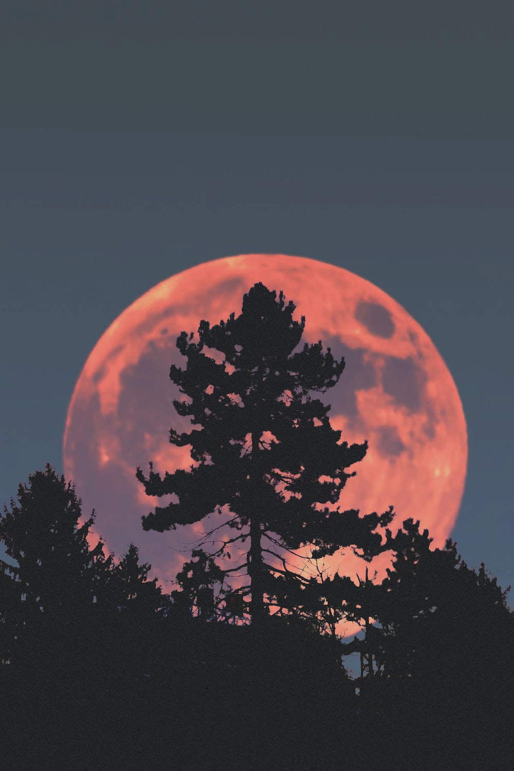 Cool Moon Wallpapers