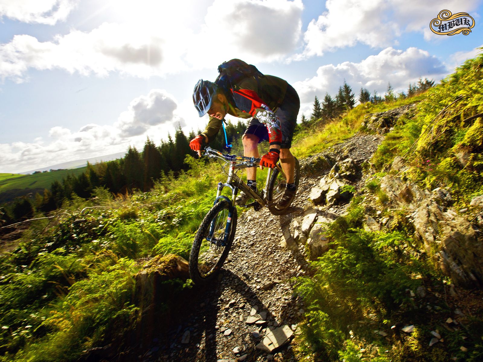 Cool Mountain Biking Wallpapers