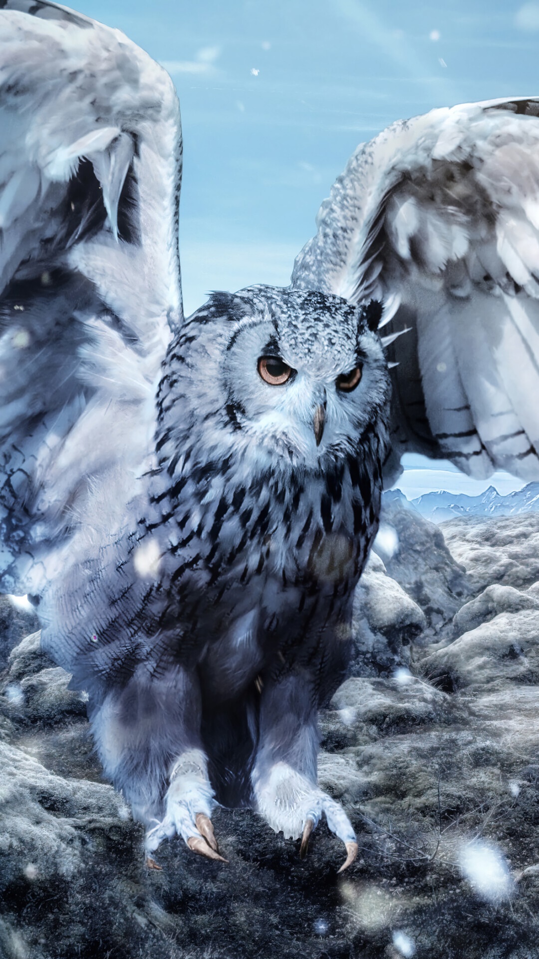 Cool Owl Wallpapers