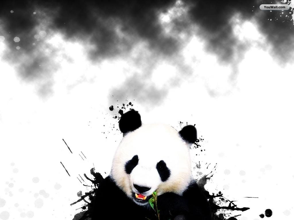 Cool PandaWallpapers