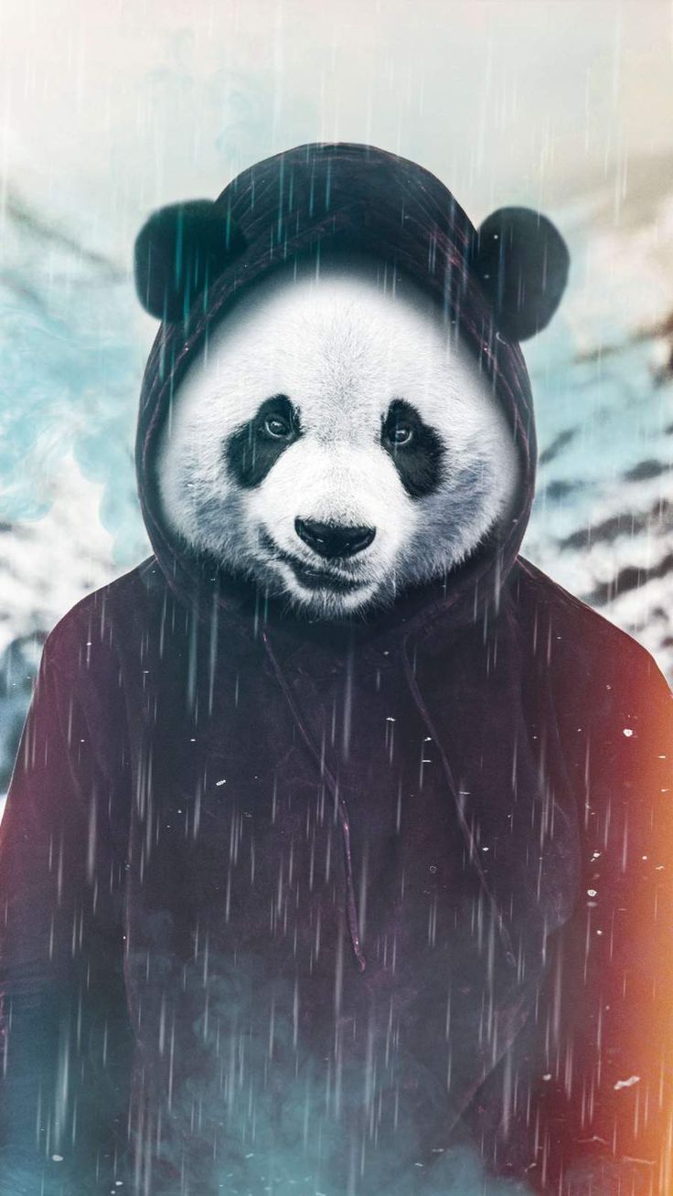 Cool PandaWallpapers