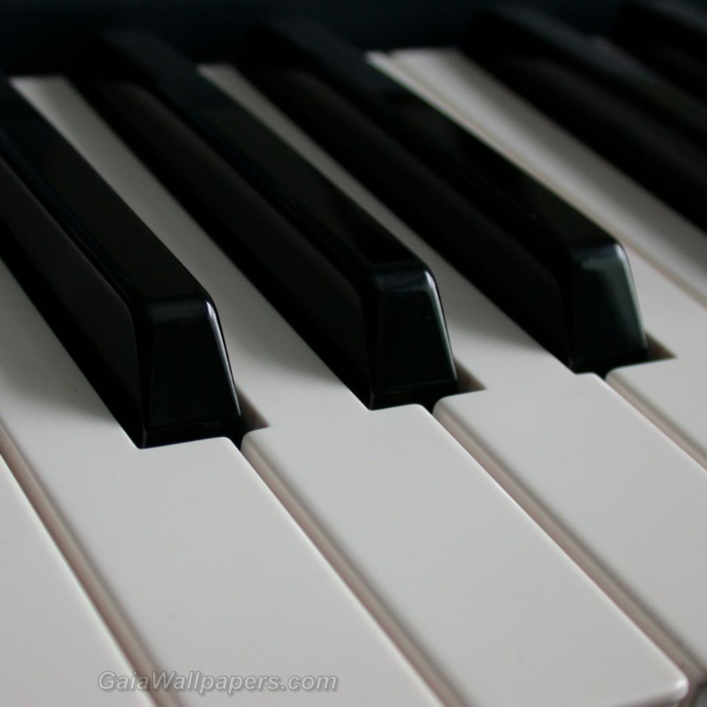 Cool Piano KeysWallpapers