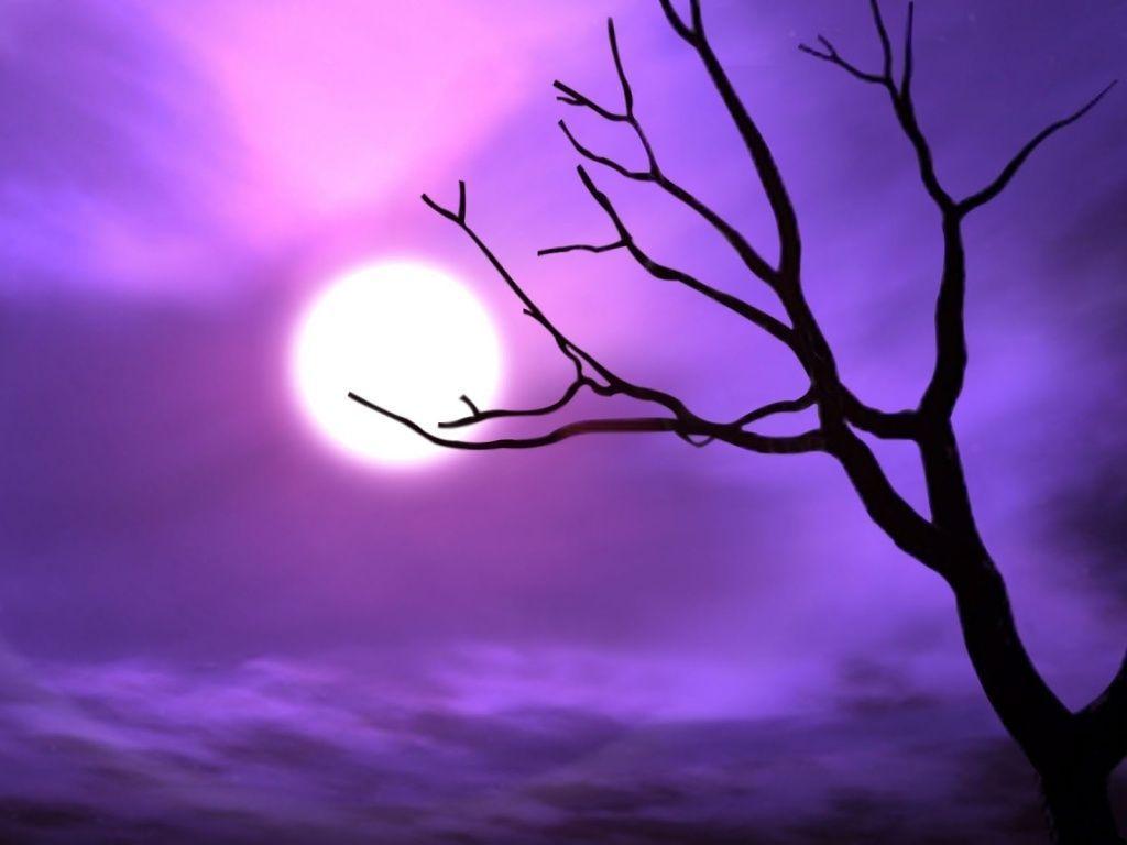 Cool Purple  Wallpapers