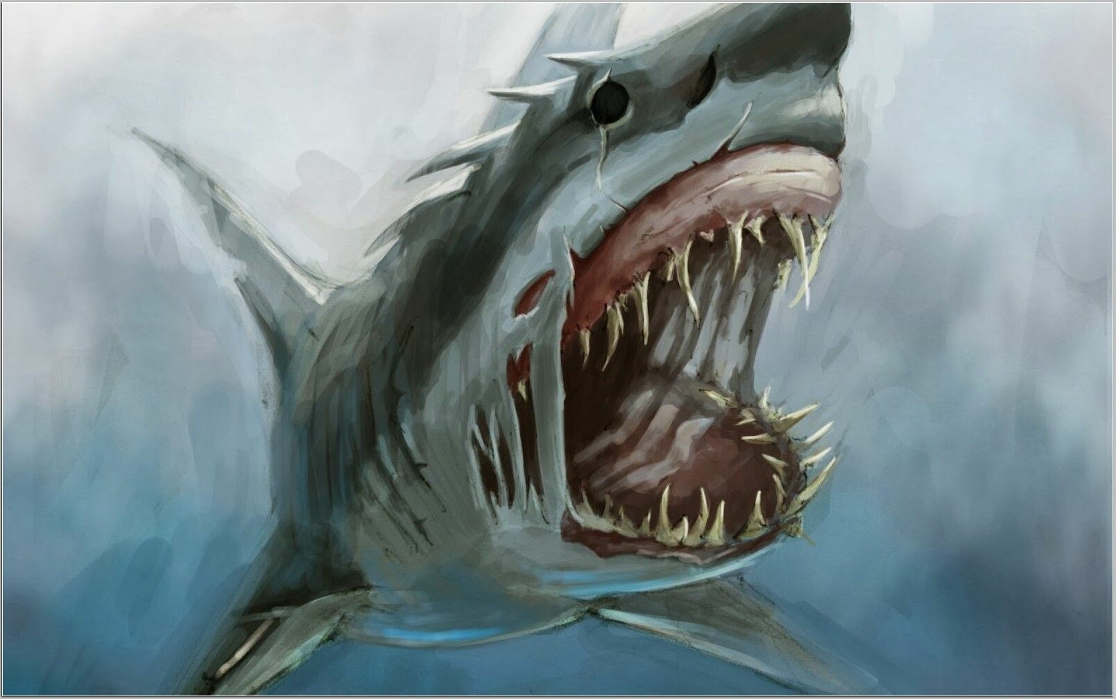 Cool Shark Wallpapers