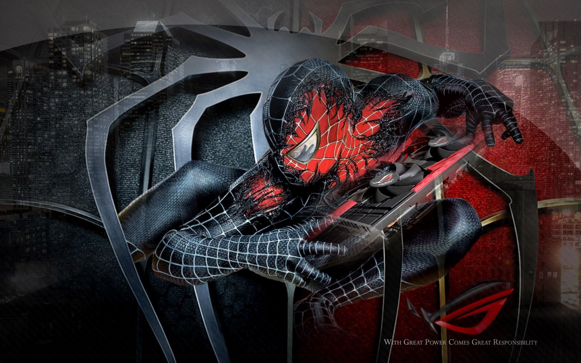 Cool SpiderWallpapers