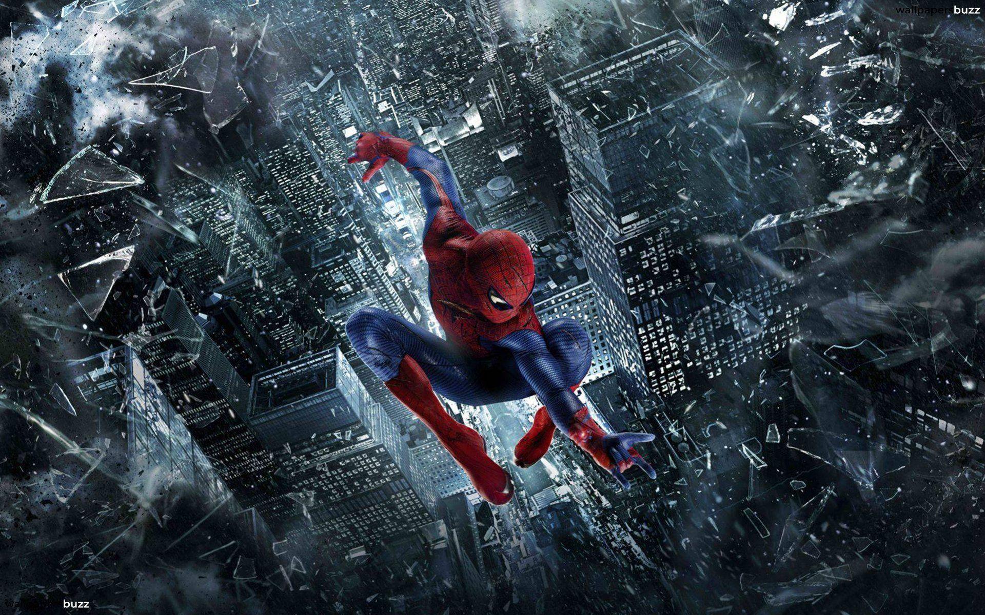 Cool SpiderWallpapers