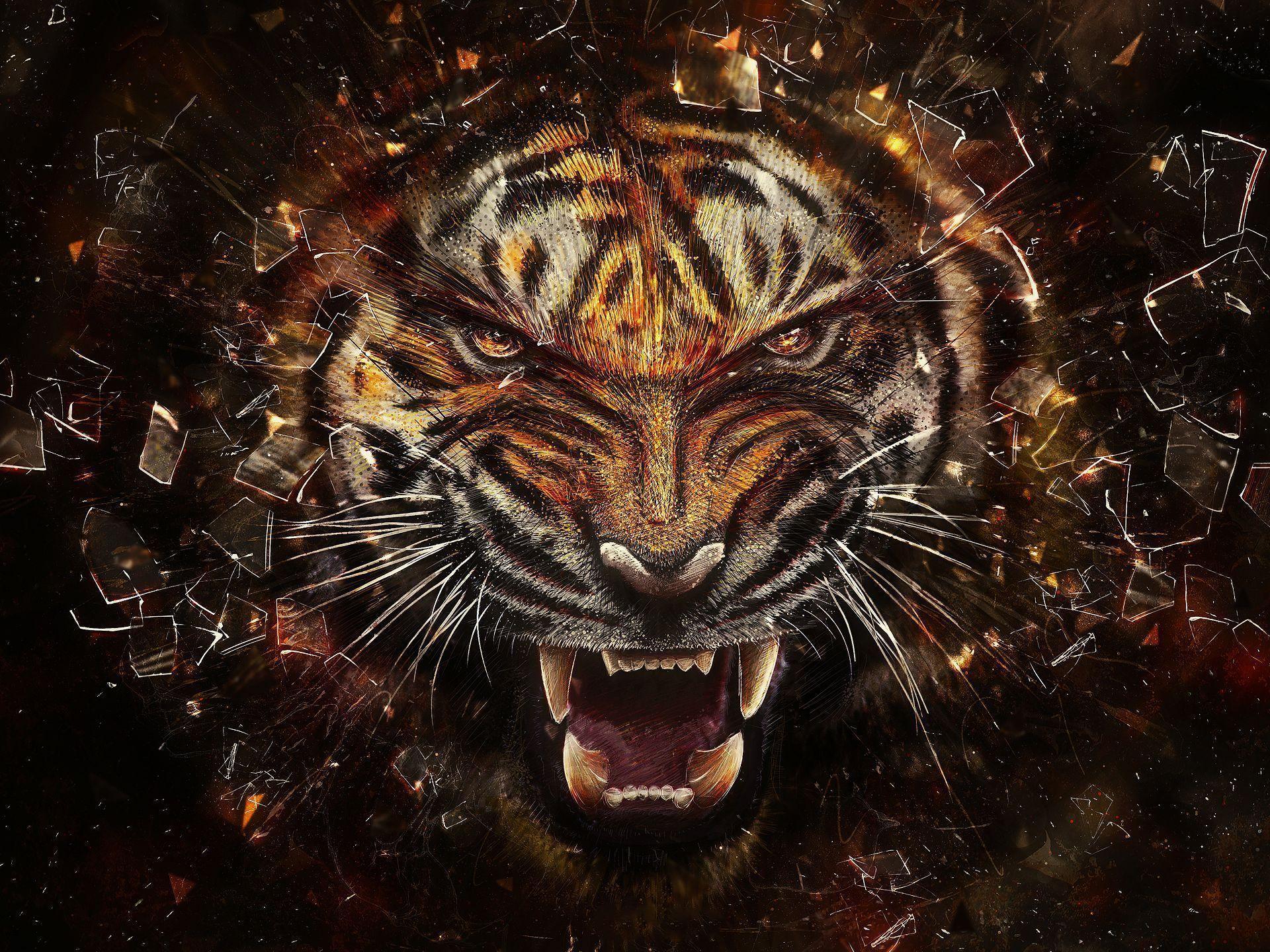 Cool Tiger Wallpapers