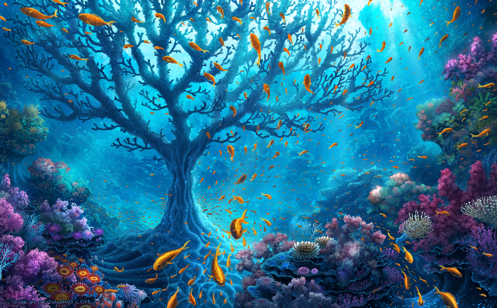 Cool Underwater Wallpapers