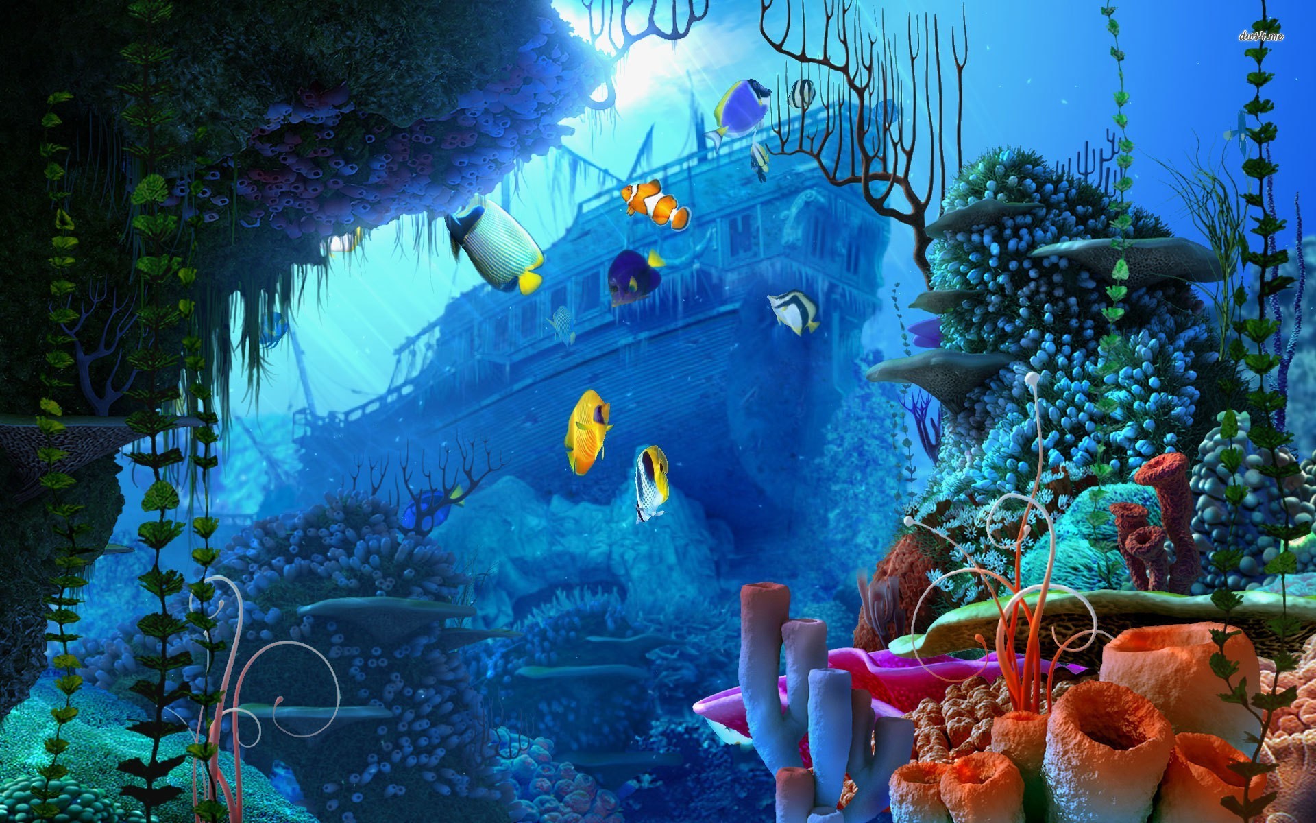 Cool Underwater Wallpapers
