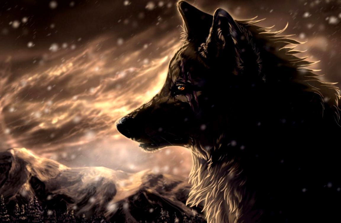 Cool Wolf Desktop Wallpapers