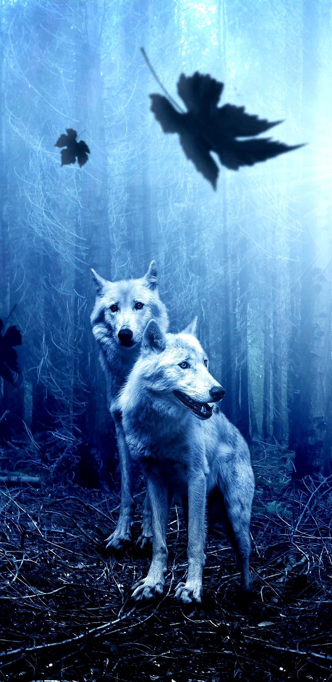 Cool Wolf PhoneWallpapers