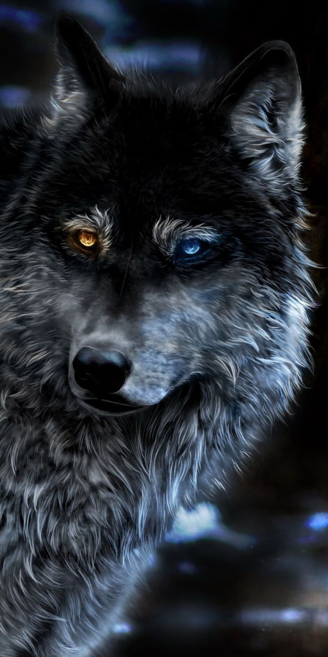 Cool Wolf  Wallpapers