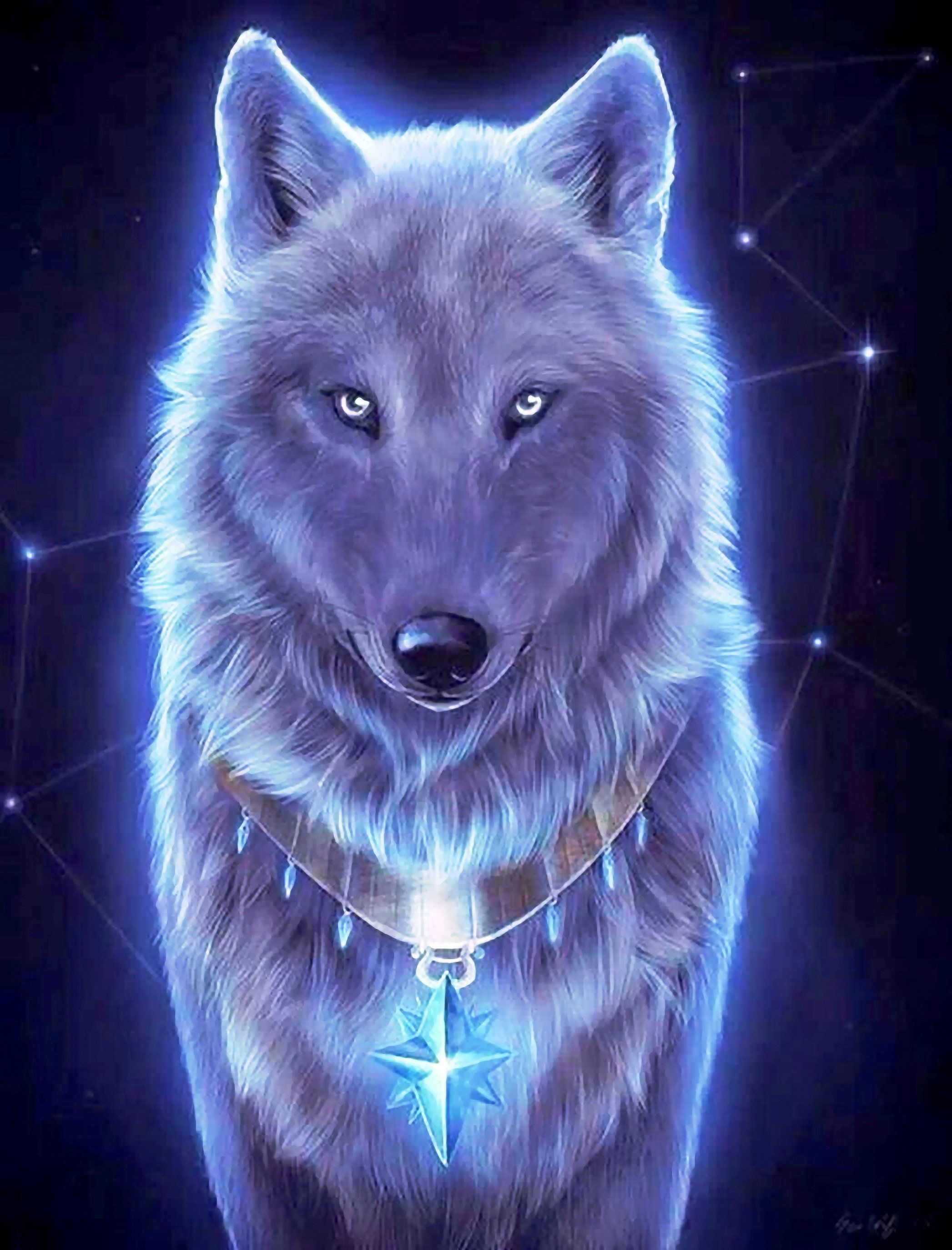 Cool Wolf  Wallpapers