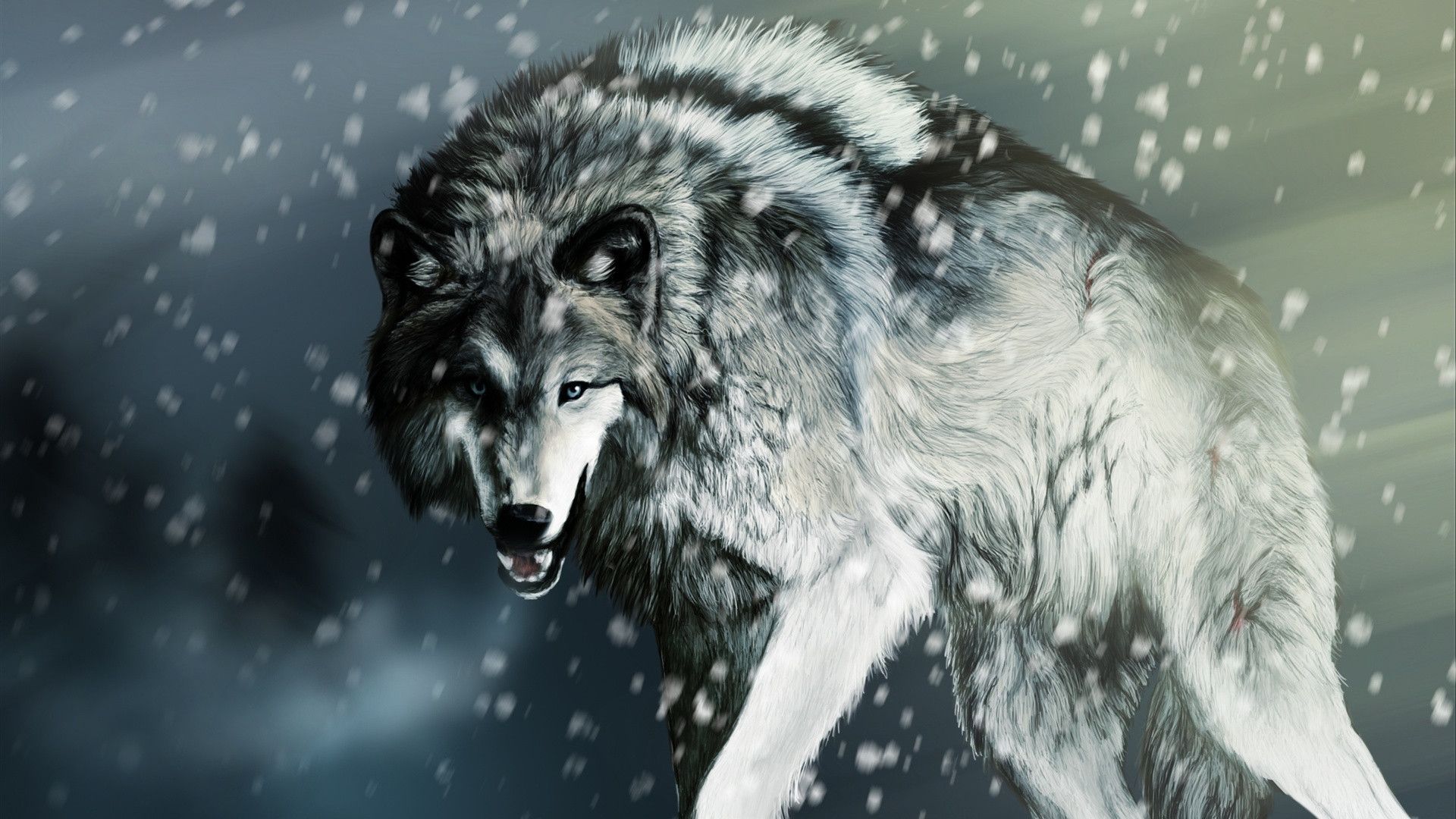 Cool Wolf  Wallpapers