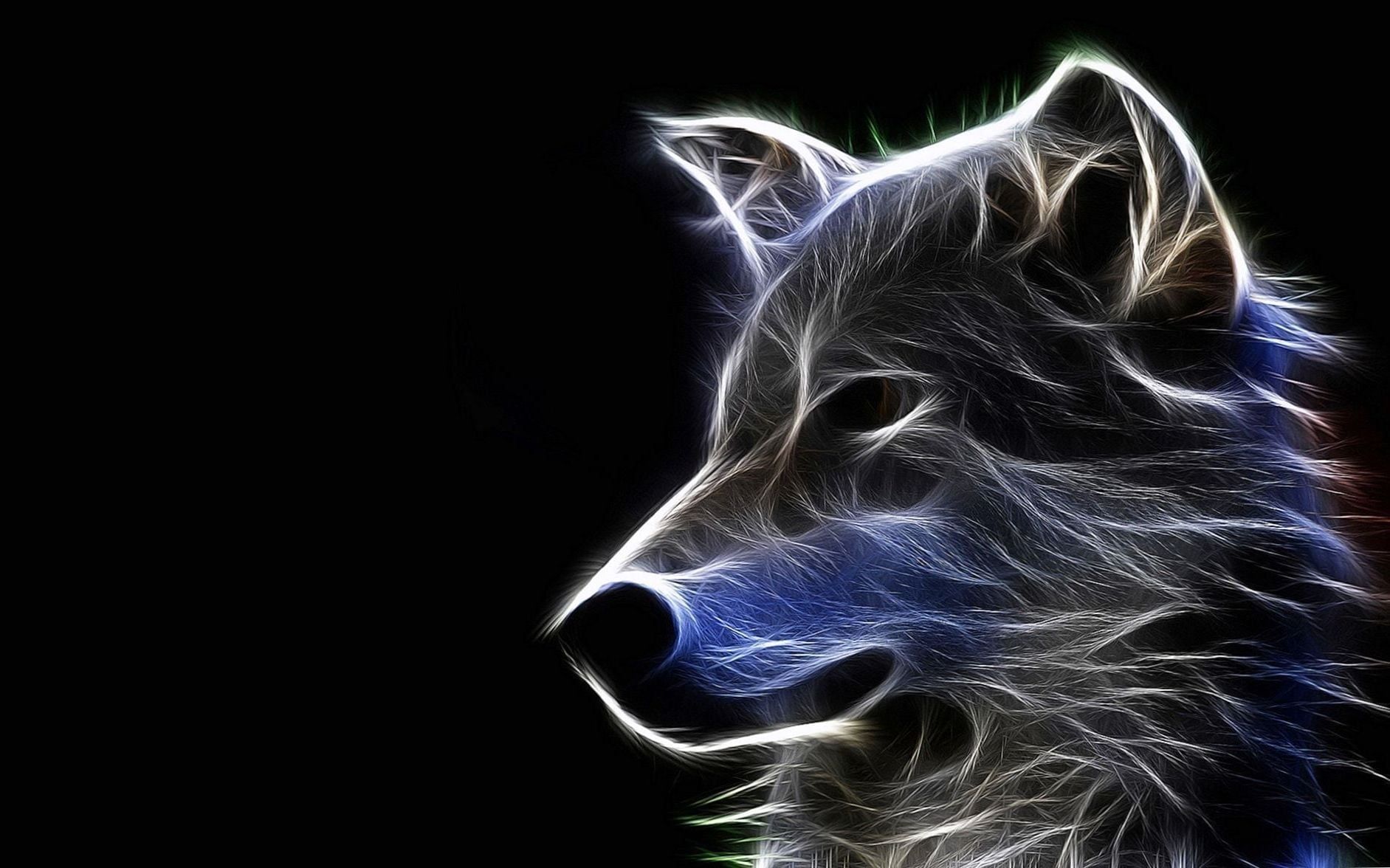 Cool WolfWallpapers