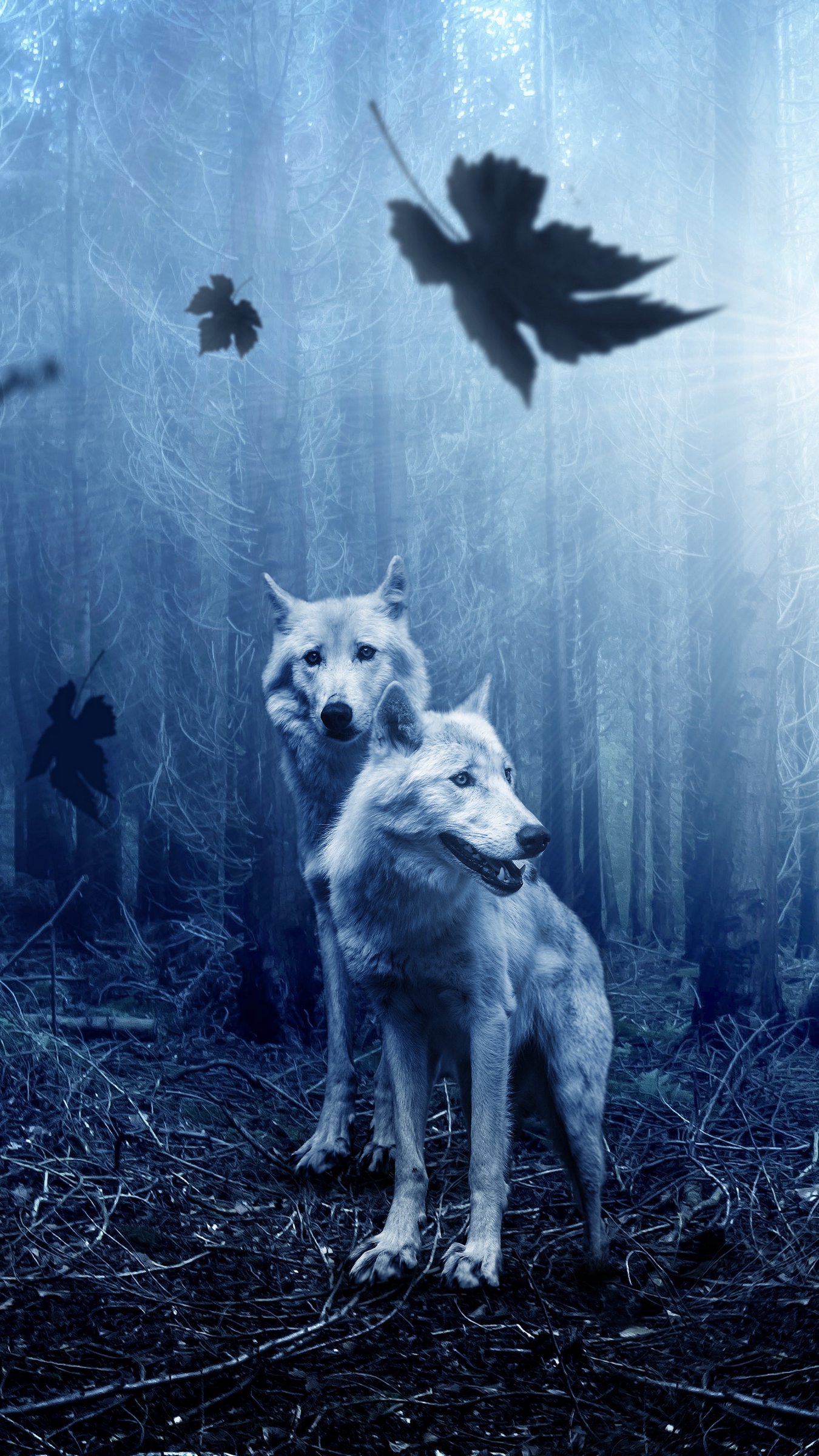 Cool Wolves IphoneWallpapers