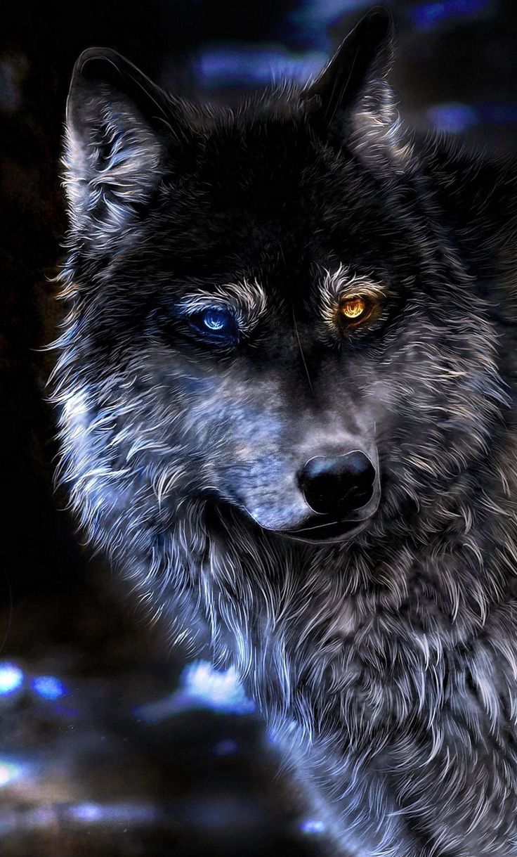 Cool Wolves IphoneWallpapers