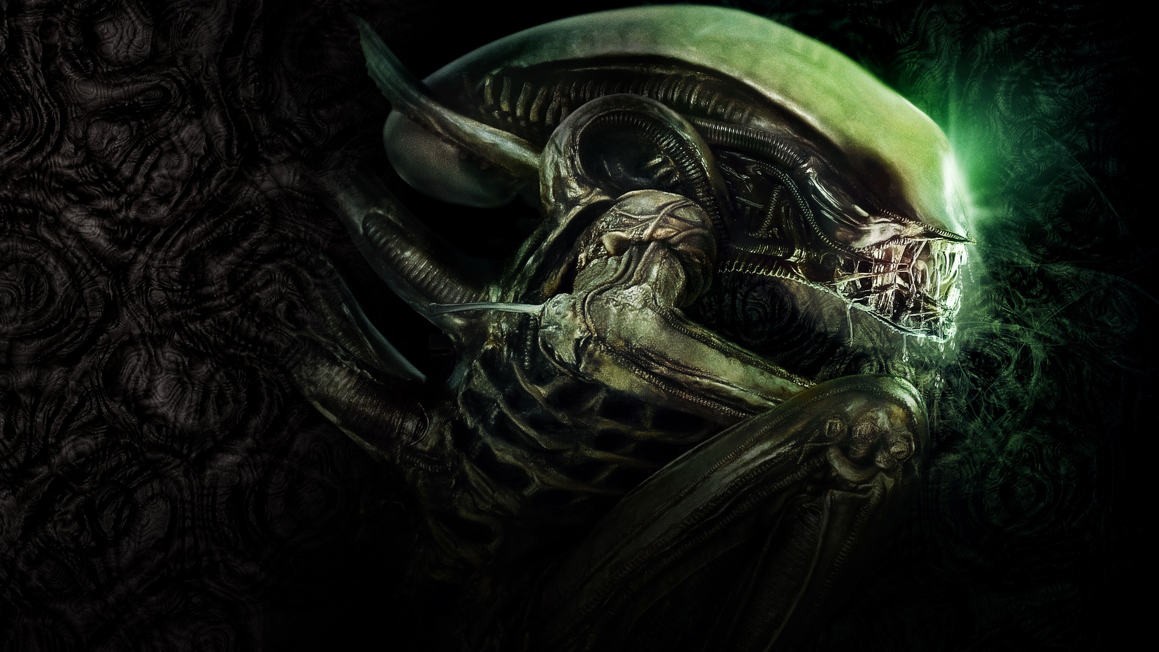 Cool Xenomorph Wallpapers