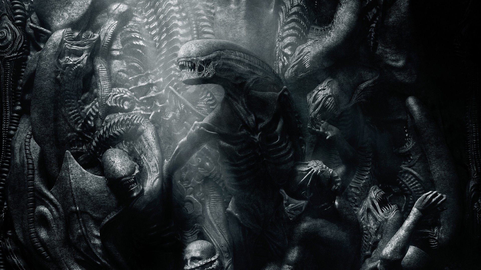 Cool Xenomorph Wallpapers