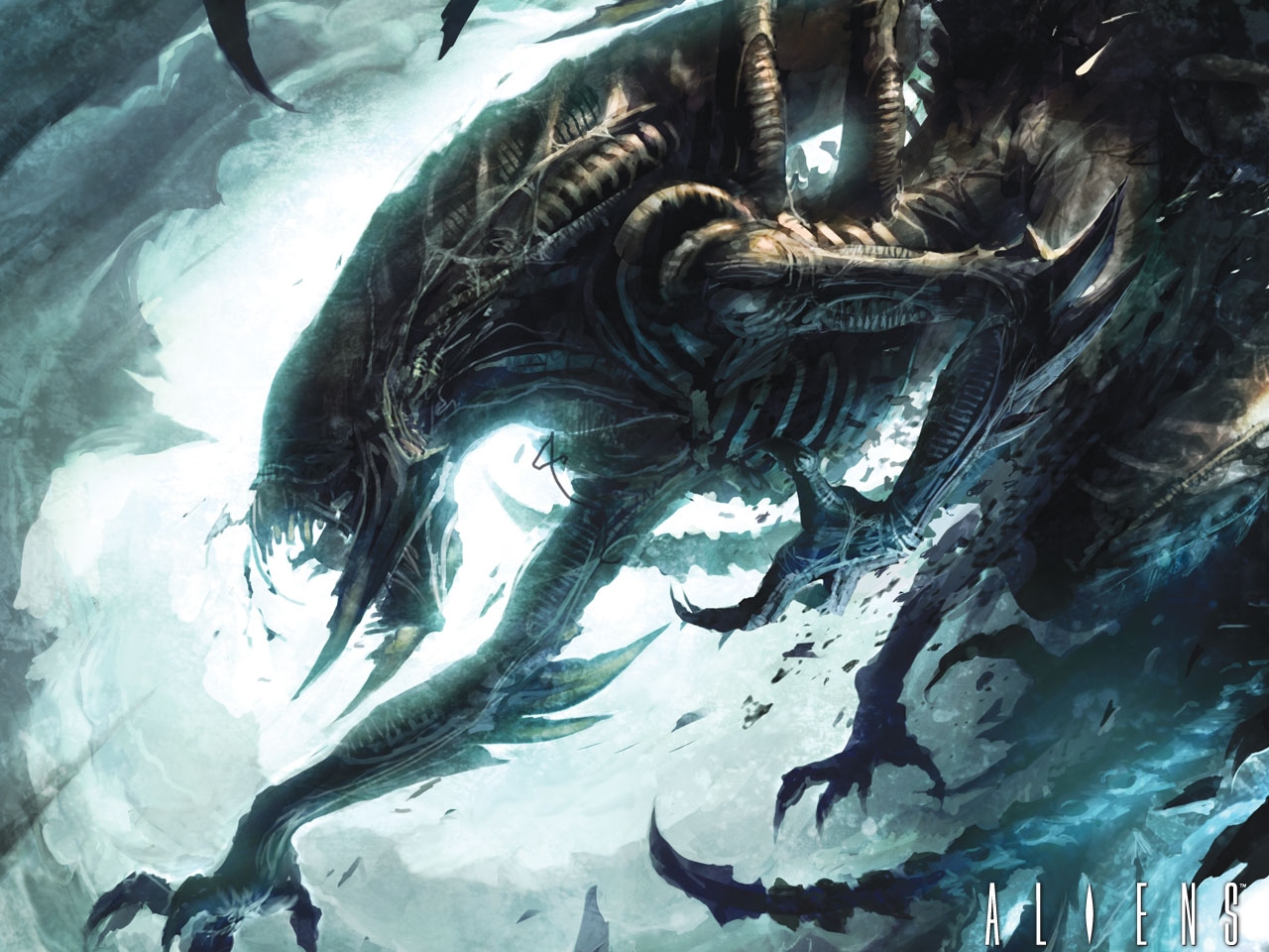 Cool Xenomorph Wallpapers