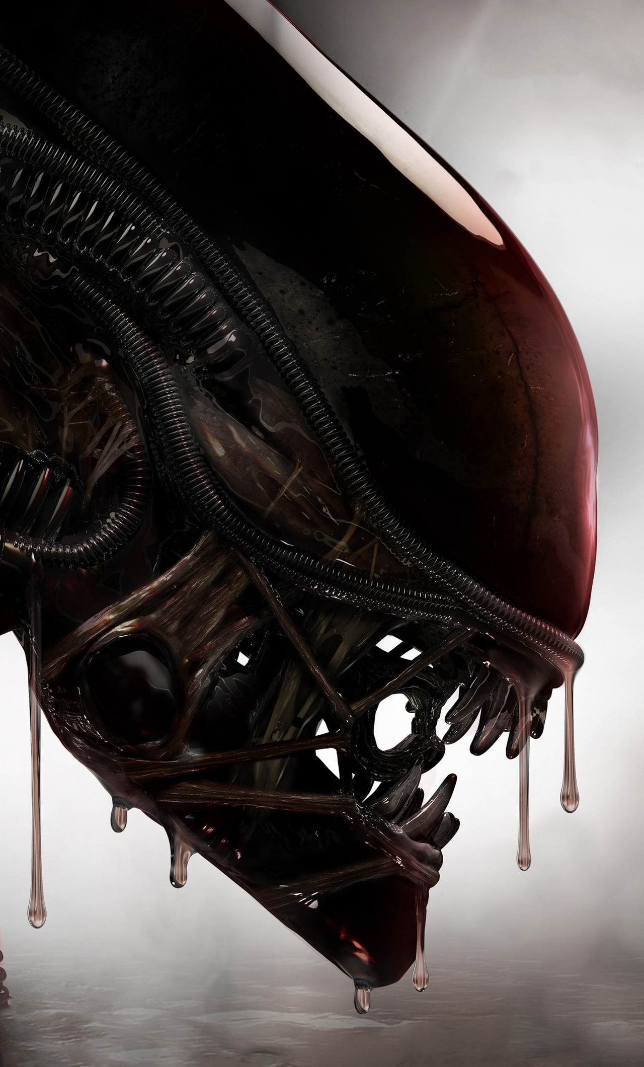 Cool Xenomorph Wallpapers