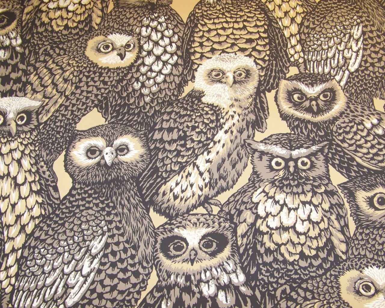 Retro Owl Wallpapers