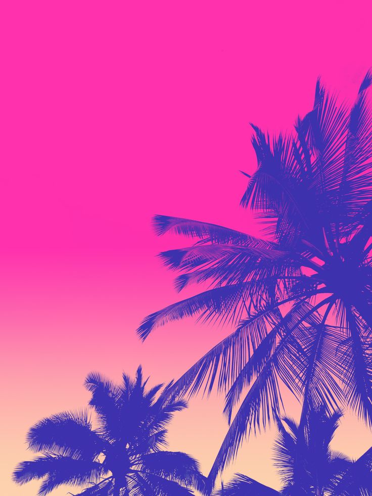 80S Palm Trees Wallpapers