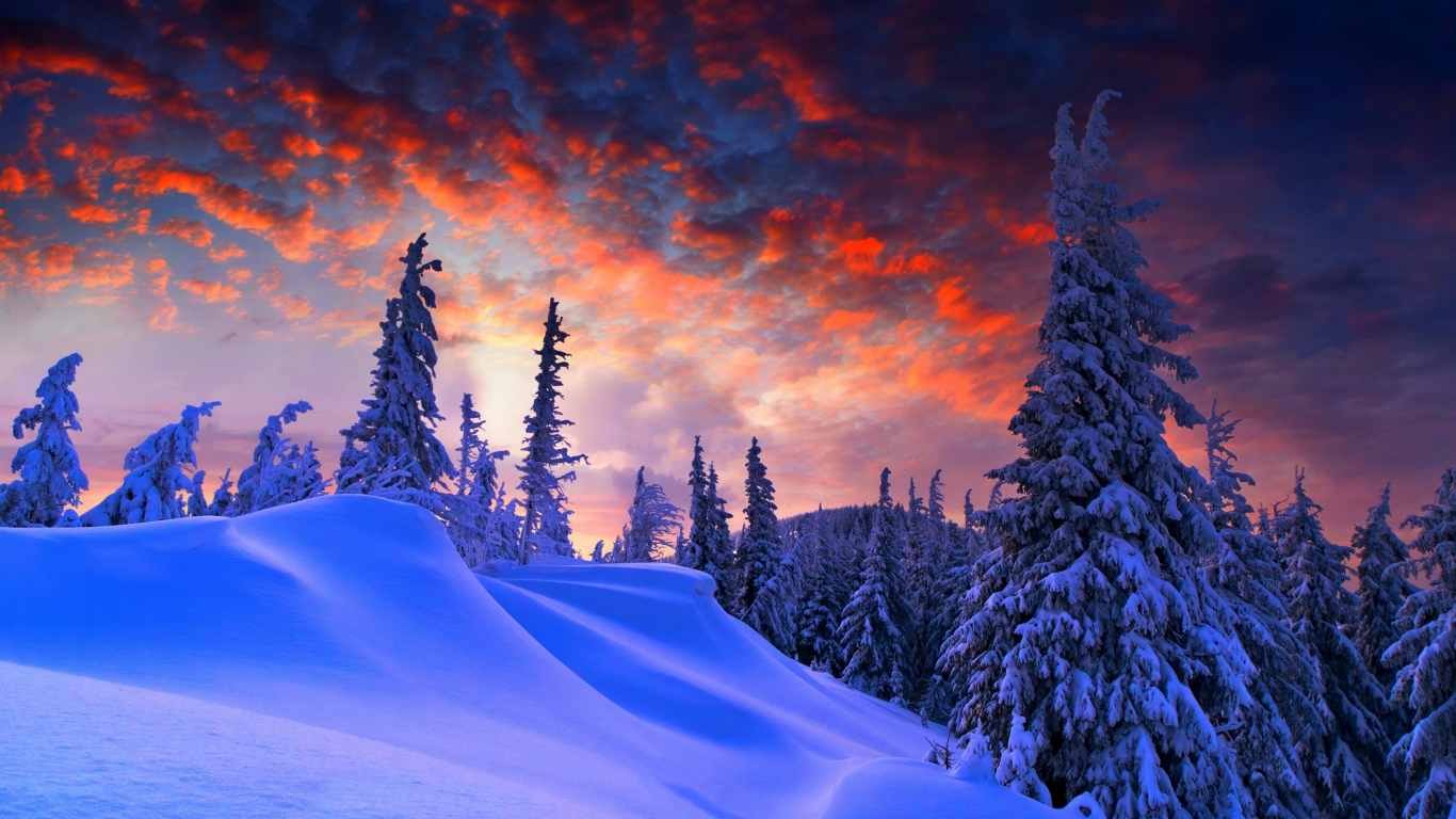 1366 X 768 Winter Wallpapers