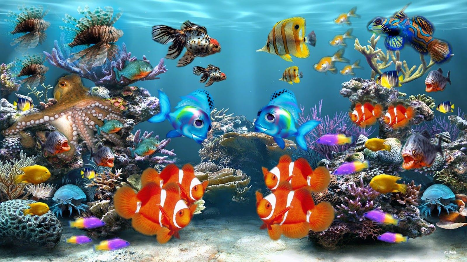 1600X900 Aquarium Wallpapers