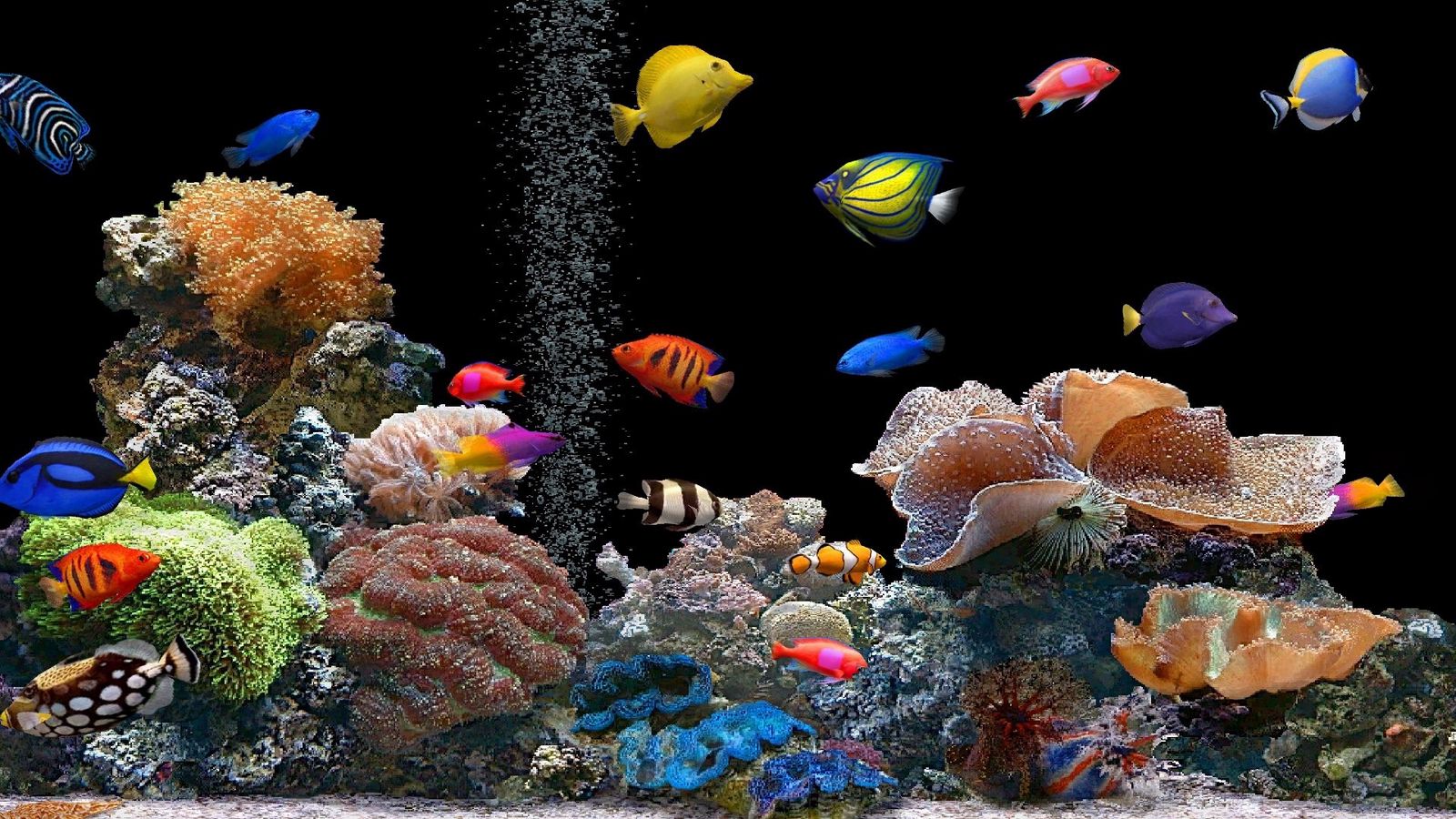 1600X900 Aquarium Wallpapers