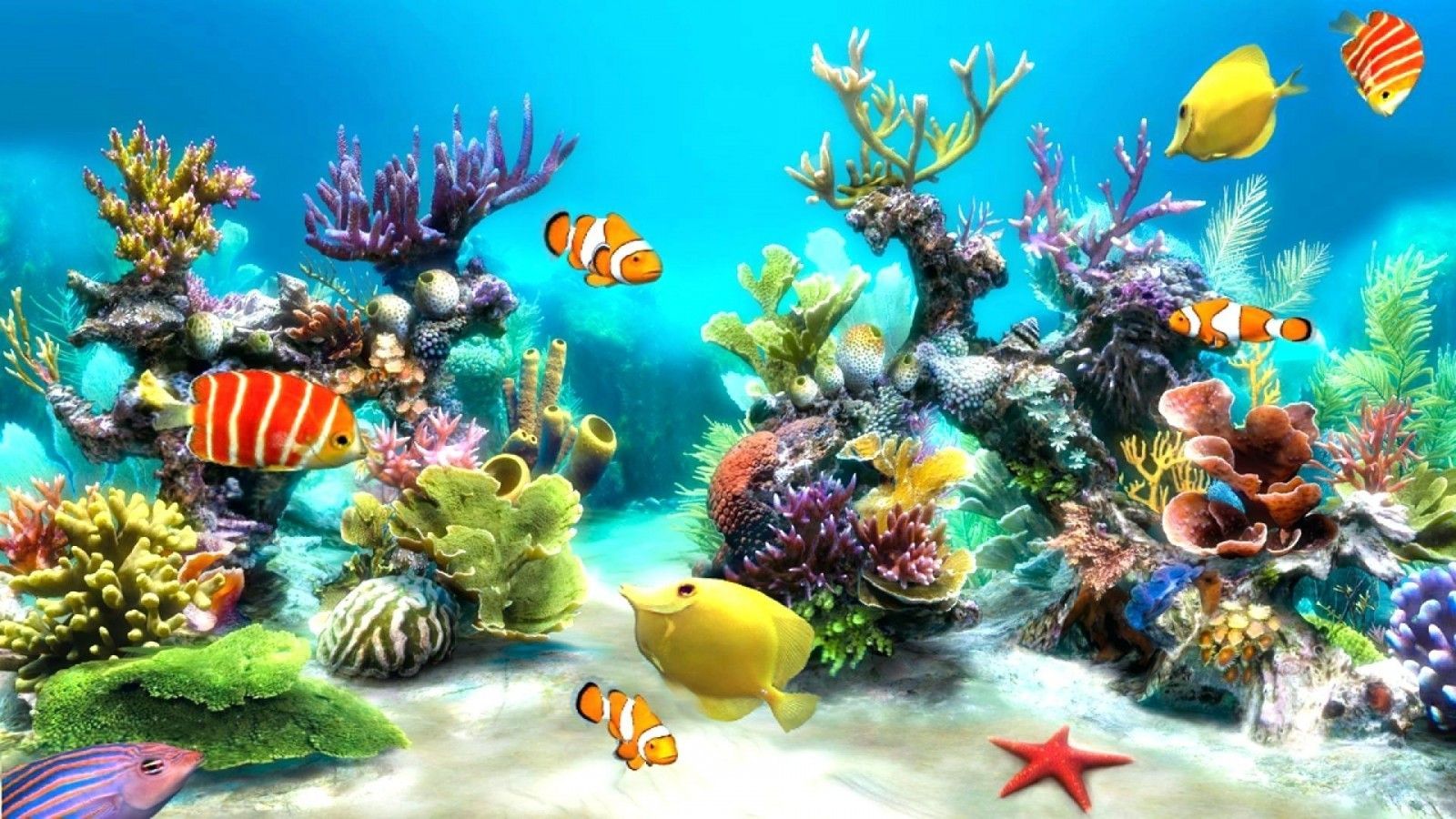 1600X900 Aquarium Wallpapers